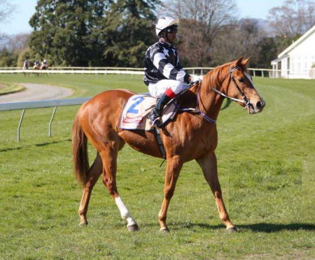 Premier Lady at the Trials